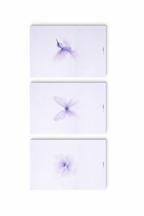 Set van 3 A6 Notitieblokken – Paarse Watercolor Dream